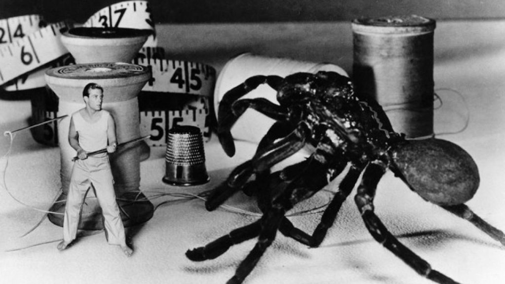 Incredible Shrinking Man, The (1957) | Pers: Grant Williams | Dir: Jack Arnold | Ref: INC007AX | Photo Credit: [ Universal / The Kobal Collection ] | Editorial use only related to cinema, television and personalities. Not for cover use, advertising or fictional works without specific prior agreement